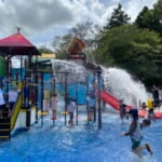 清水公園アクアベンチャー